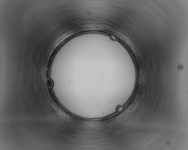 X0000101400786200807281001