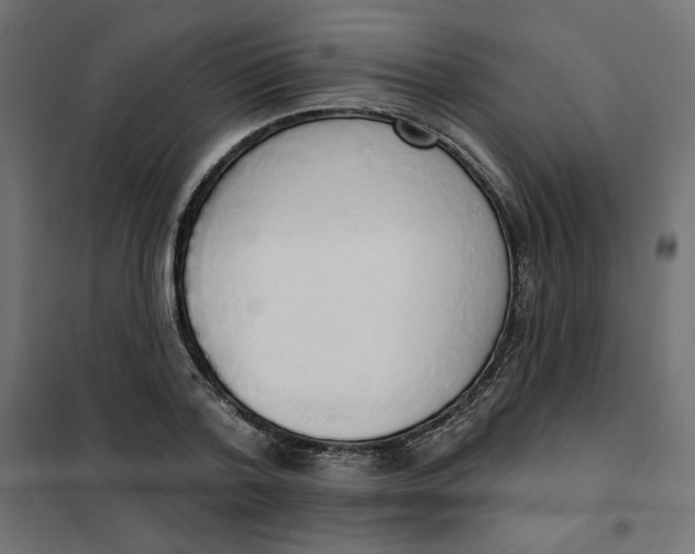 X0000101400788200807281001