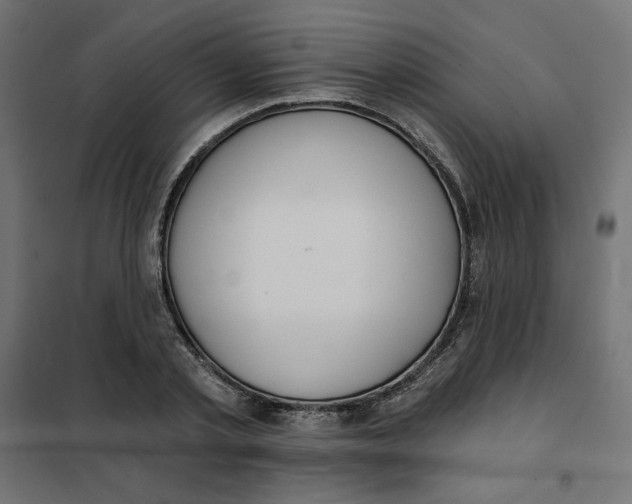 X0000101400789200807281001