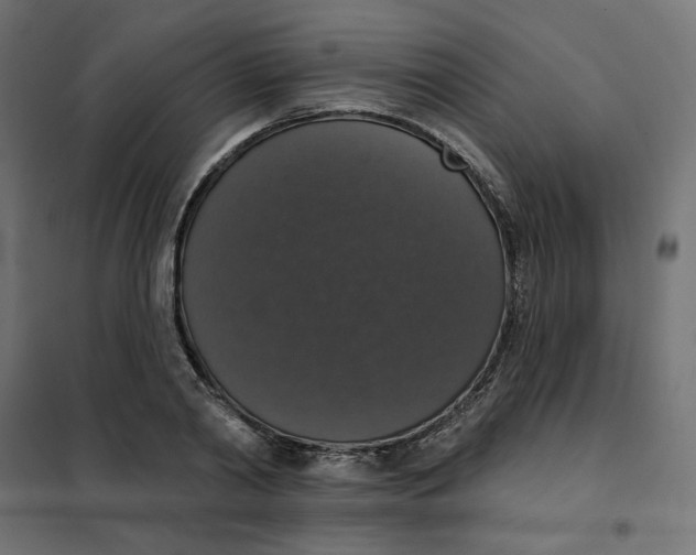 X0000101400790200807281001