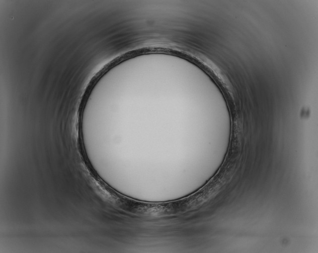 X0000101400791200807281001