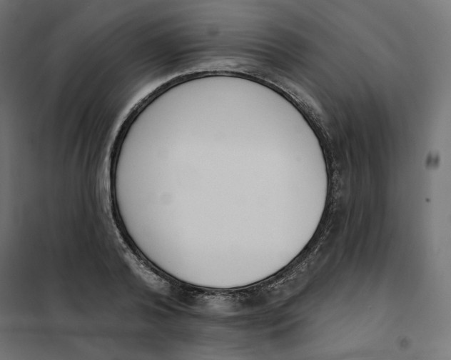 X0000101400792200807281000