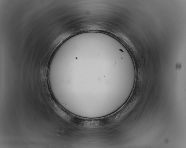 X0000101400793200807281000