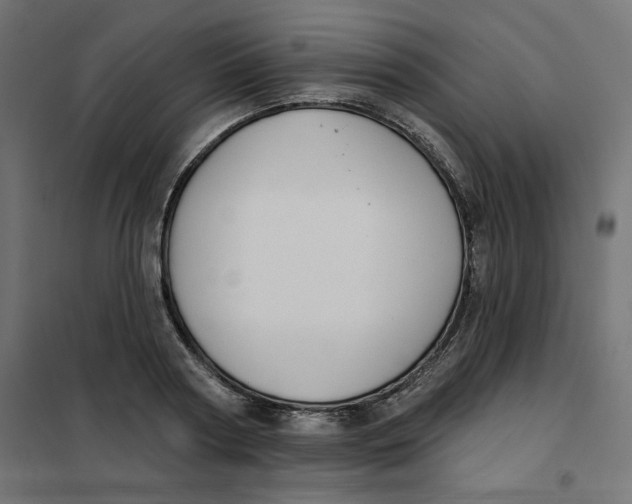 X0000101400794200807281000