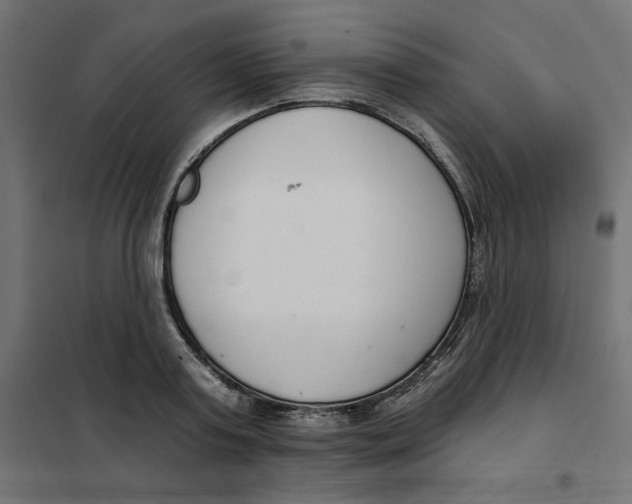 X0000101400795200807281000