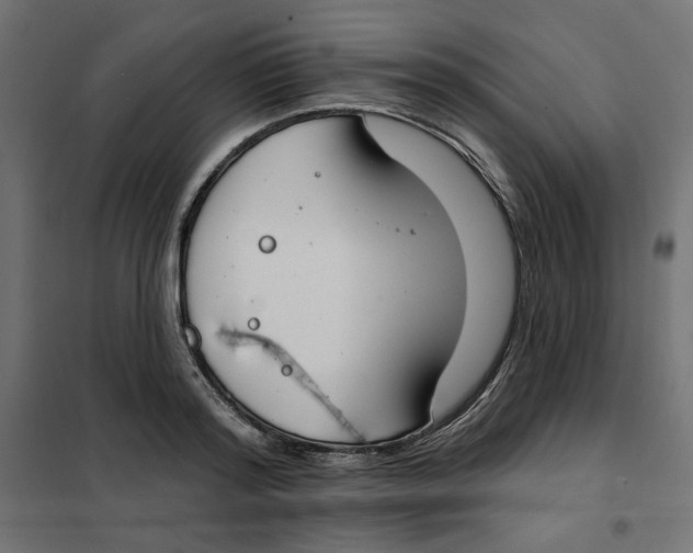 X0000101400796200807281000