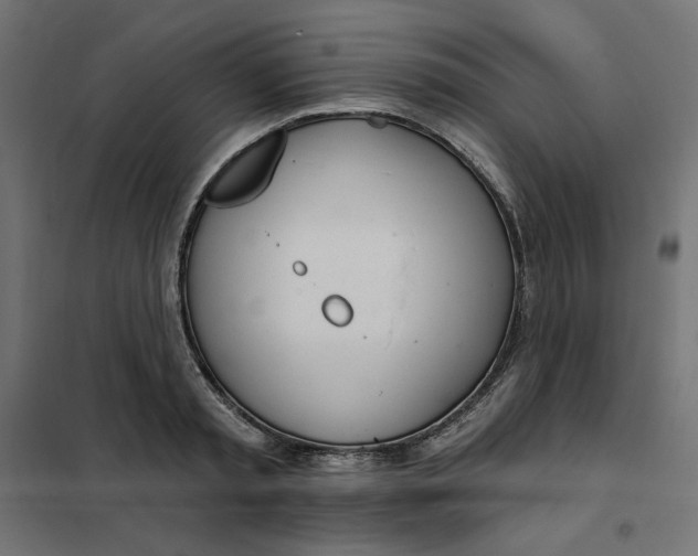 X0000101400797200807281000