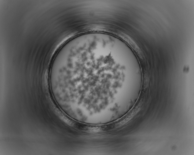 X0000101400798200807281000