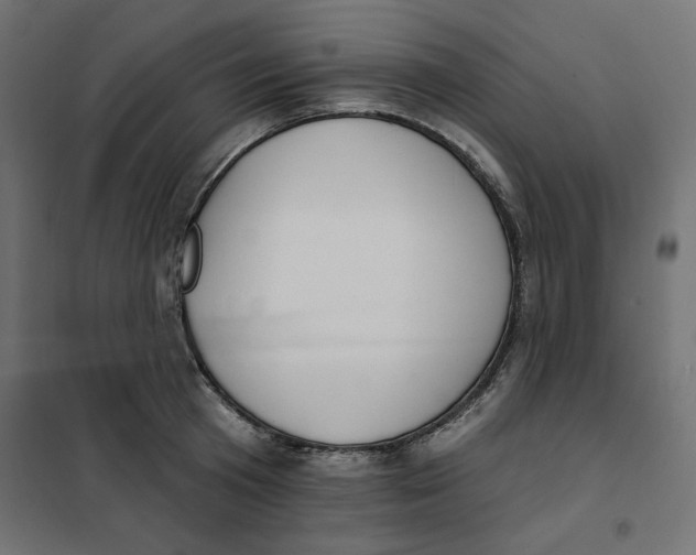 X0000101400801200807281000