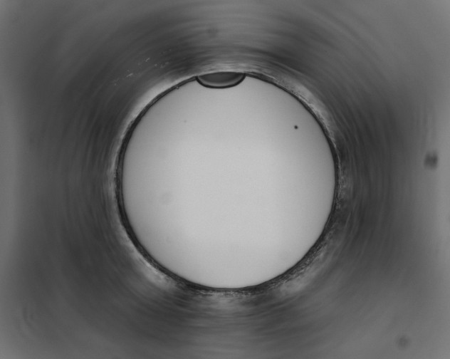 X0000101400803200807281000