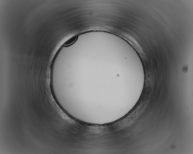 X0000101400804200807281000