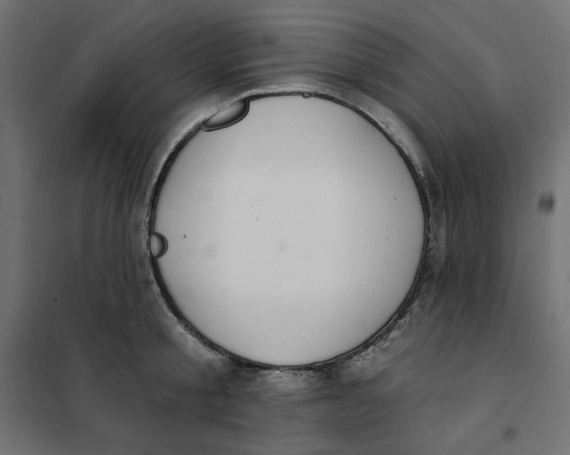 X0000101400805200807281000