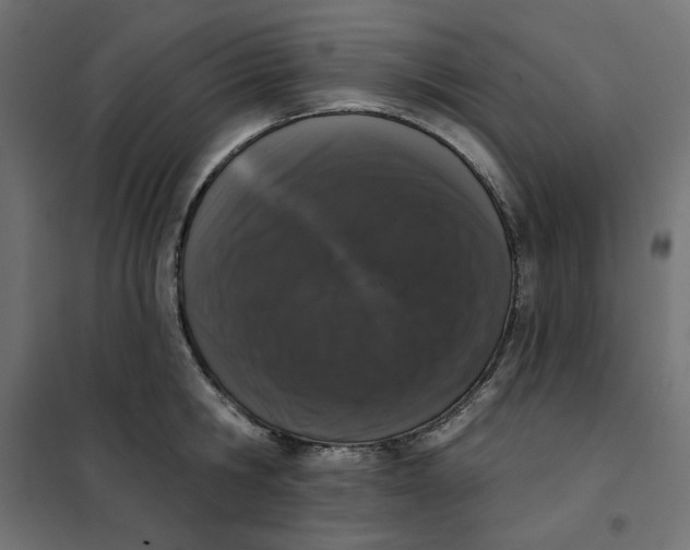 X0000101400806200807281000