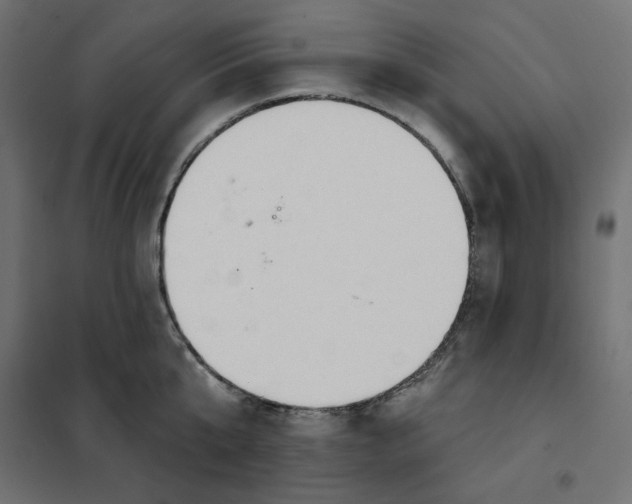 X0000101400807200807281000