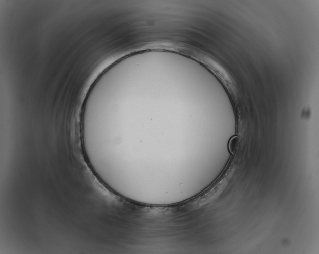 X0000101400808200807281000