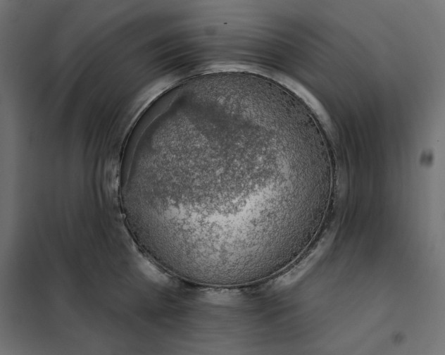 X0000101400809200807281000