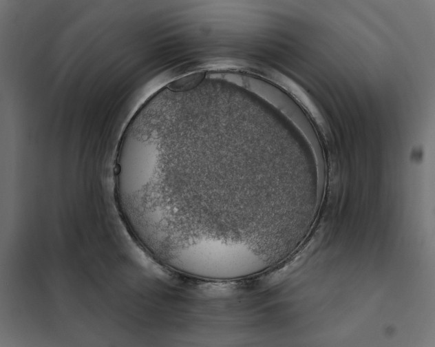 X0000101400810200807281000