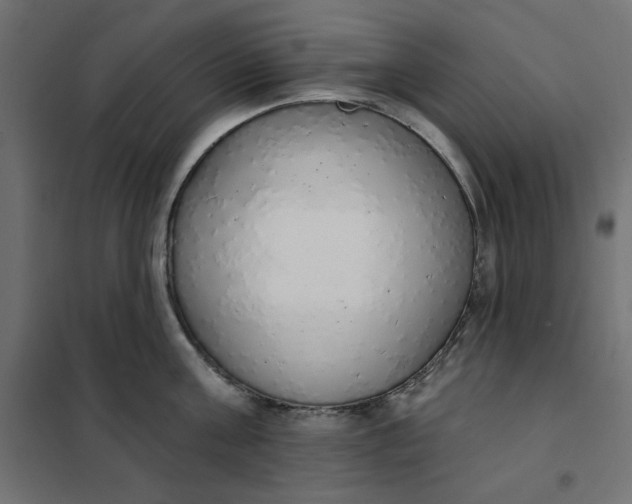 X0000101400811200807281000