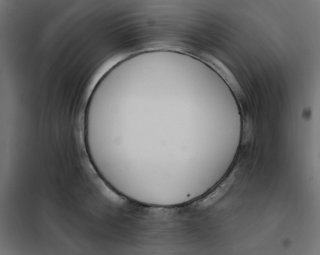 X0000101400812200807281000