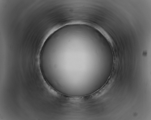 X0000101400813200807281000