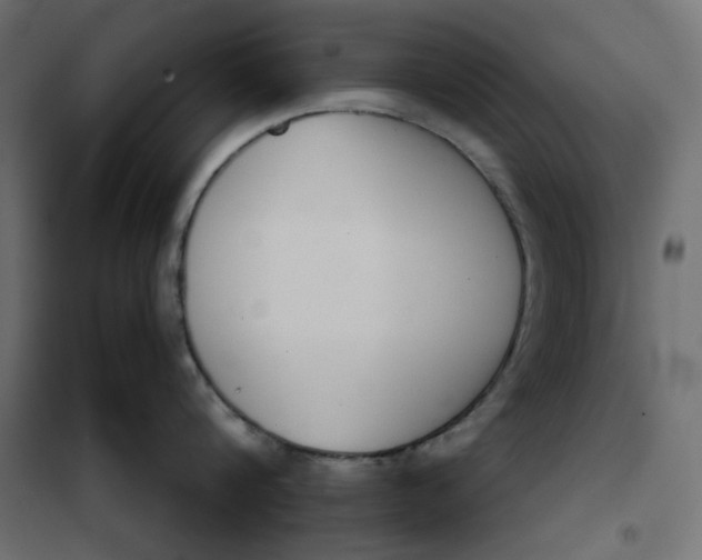 X0000101400816200807281000