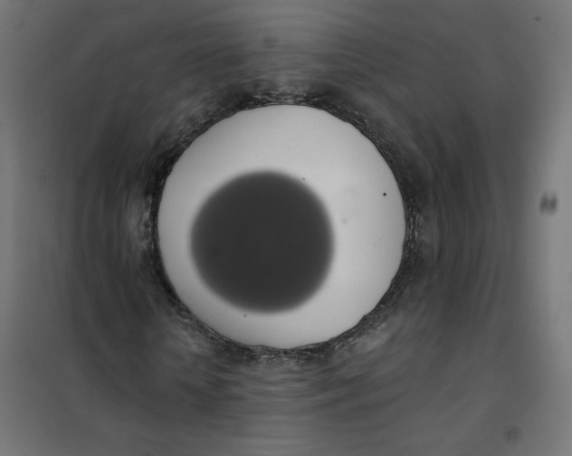 X0000101400818200807280959