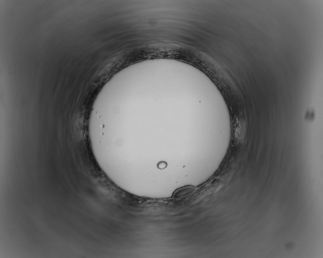 X0000101400819200807280959