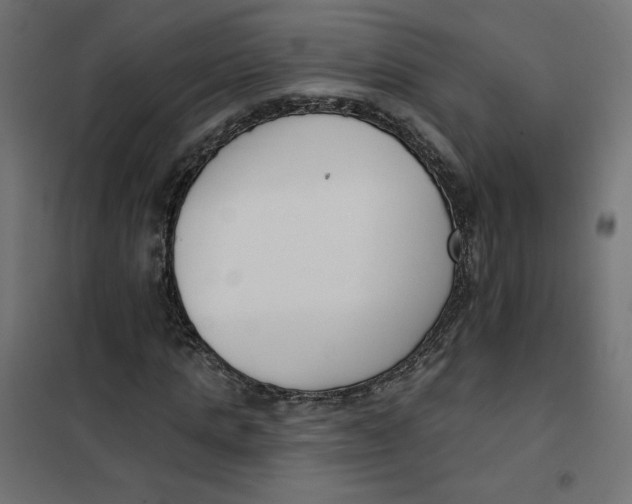 X0000101400821200807280959