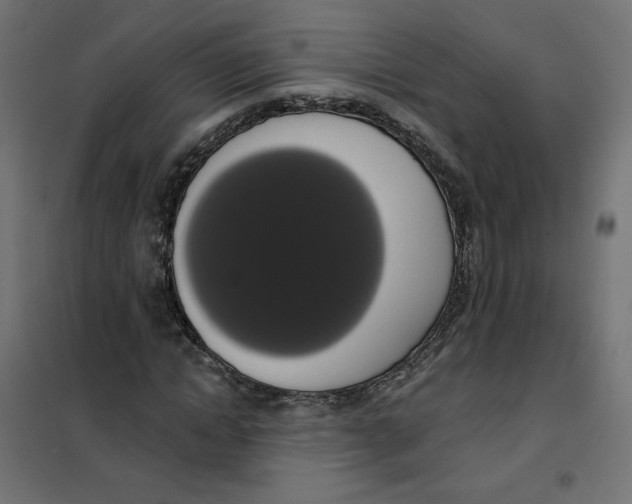 X0000101400822200807280959