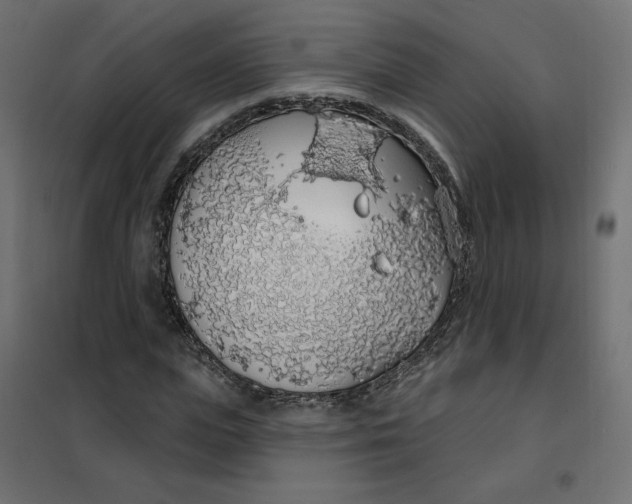 X0000101400823200807280959