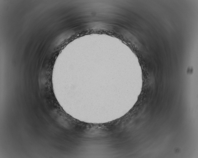 X0000101400824200807280959