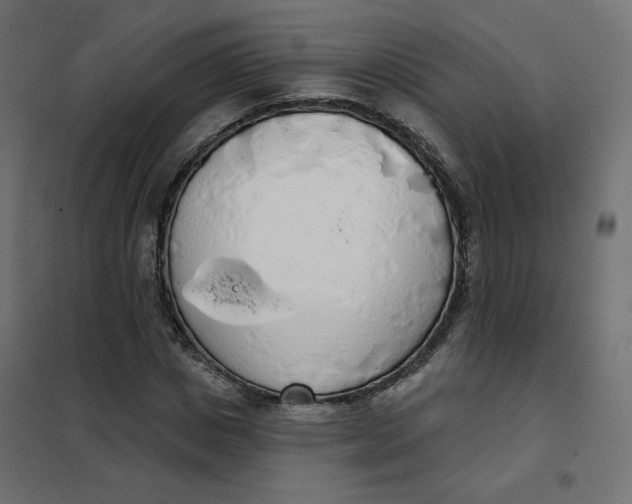 X0000101400825200807280959