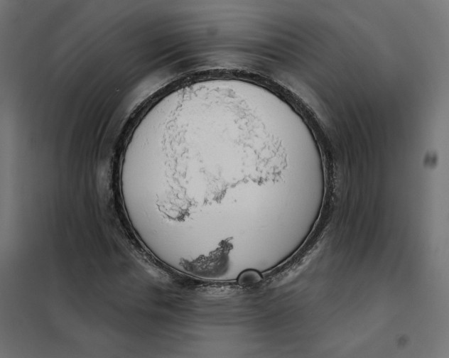 X0000101400826200807280959