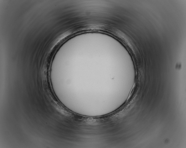 X0000101400827200807280959