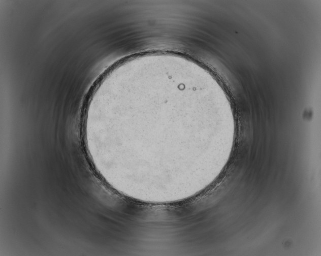 X0000101400828200807280959