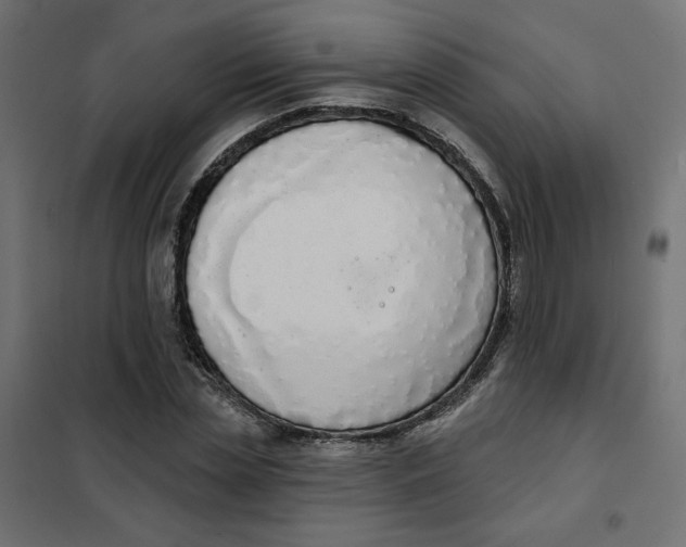 X0000101400829200807280959