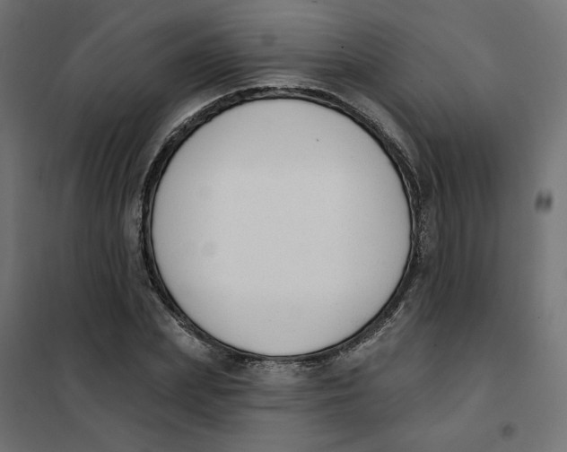 X0000101400831200807281000