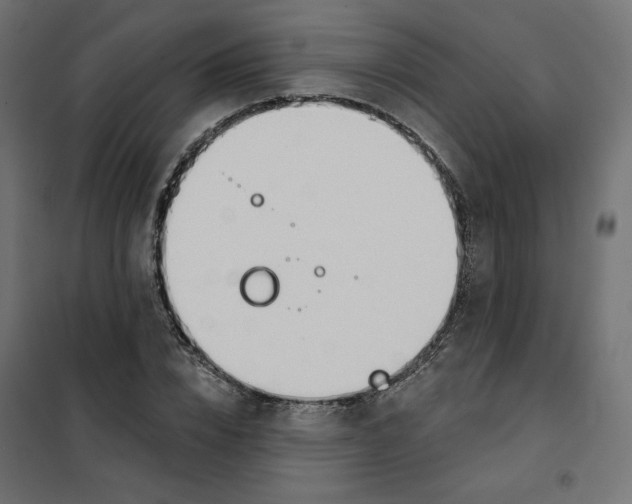 X0000101400832200807281000