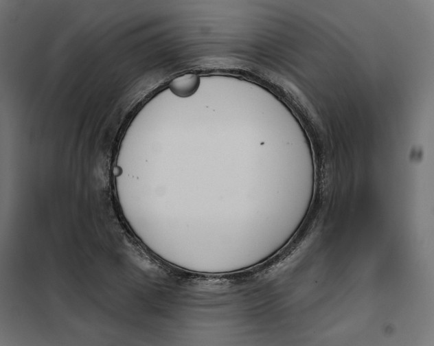 X0000101400833200807281000