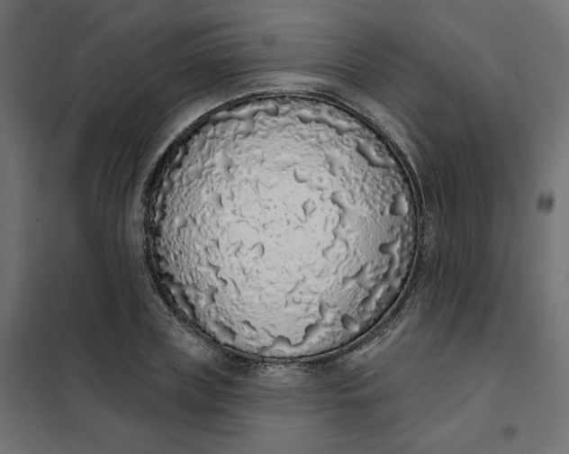 X0000101400835200807281000