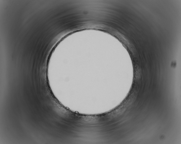 X0000101400836200807281000