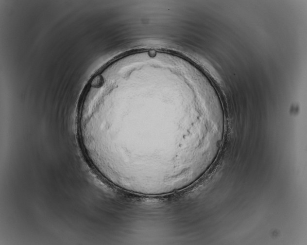 X0000101400839200807281000