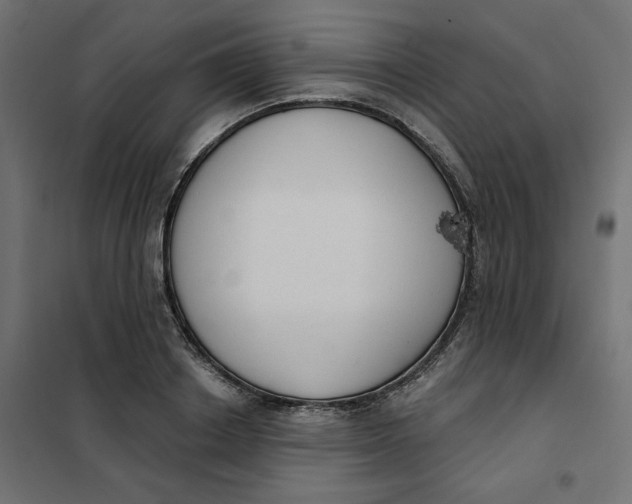 X0000101400842200807281000