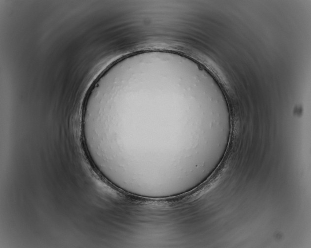 X0000101400844200807281000