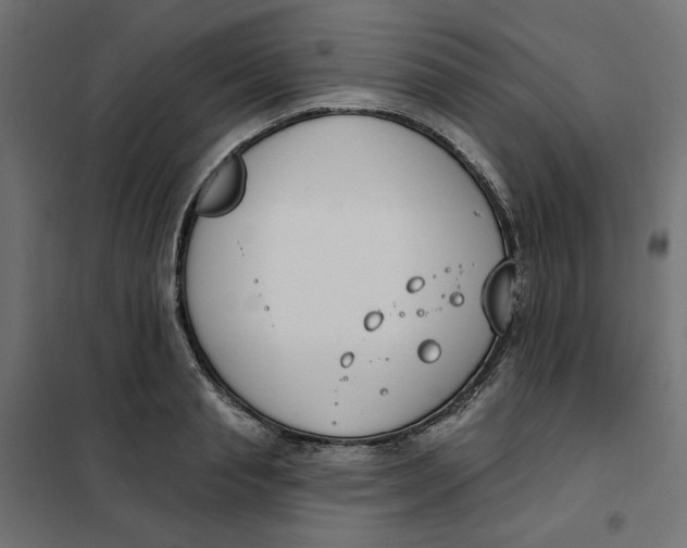 X0000101400845200807281000