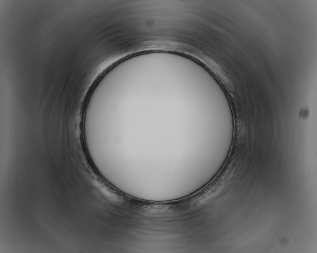 X0000101400846200807281000