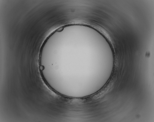 X0000101400847200807281000