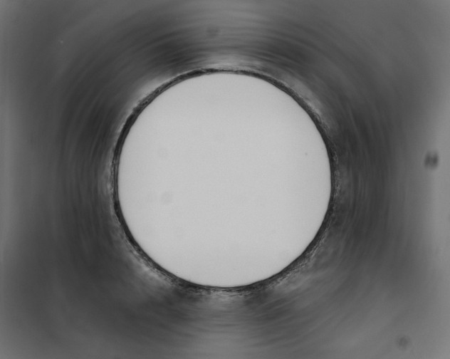 X0000101400848200807281000