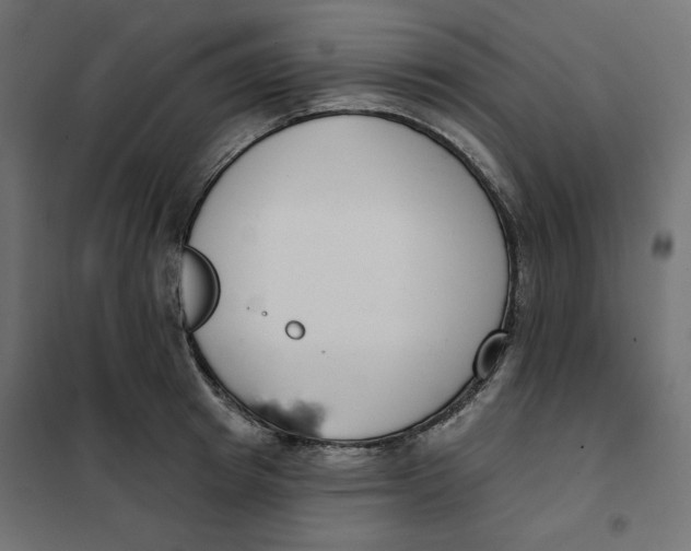 X0000101400849200807281000