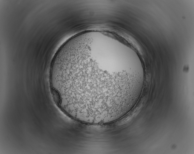 X0000101400855200807281000